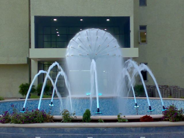 Water Show